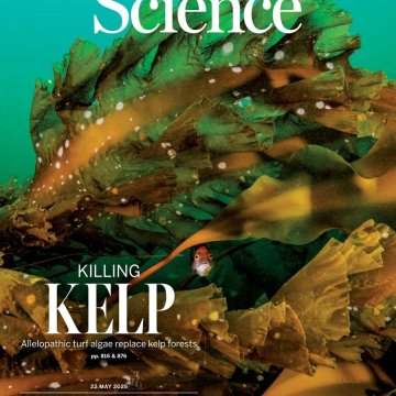 Science USA-2025.05.22 电子版PDF