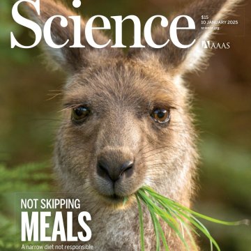 Science USA-2025.10.01 电子版PDF