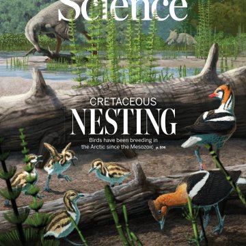 Science USA-2025.05.29 电子版PDF
