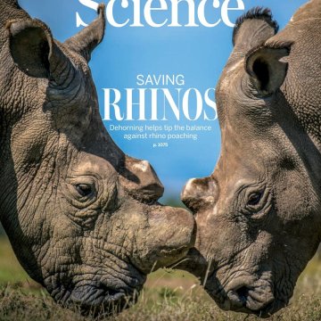 Science USA-2025.05.06 电子版PDF