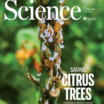 Science USA-2025.11.04 电子版PDF