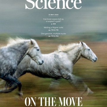 Science USA-2025.05.15 电子版PDF