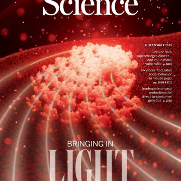 Science USA-2025.11.09 电子版PDF