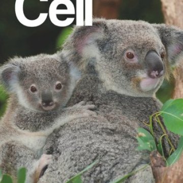 Cell Press_2025.04.17 电子版PDF