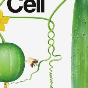Cell Press_2025.08.21 电子版PDF