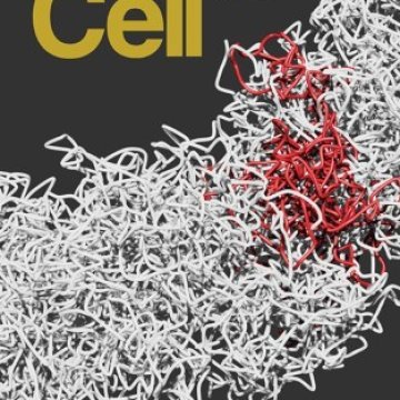 Cell Press_2025.05.15 电子版PDF