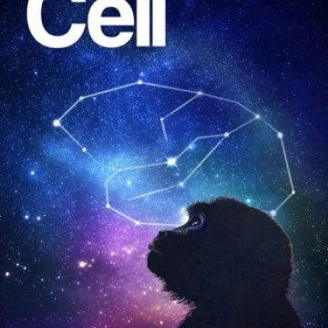 Cell Press_2025.07.10 电子版PDF