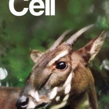 Cell Press_2025.06.12 电子版PDF