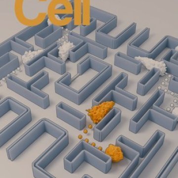Cell Press_2025.06.26 电子版PDF