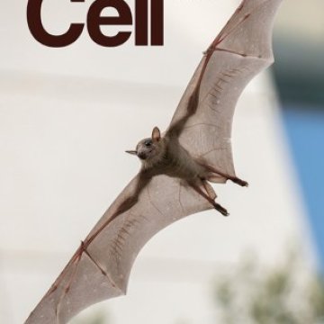 Cell Press_2025.07.24 电子版PDF