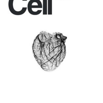 Cell Press_2025.04.03 电子版PDF