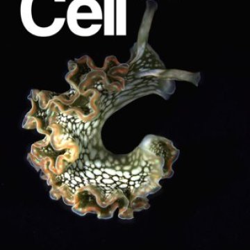 Cell Press_2025.09.18 电子版PDF