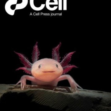 Cell Press_2025.12.24 电子版PDF