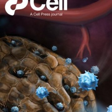 Cell Press_2025.11.26 电子版PDF
