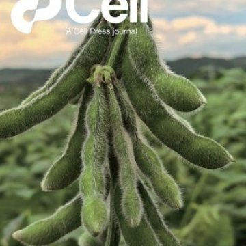 Cell Press_2025.11.13 电子版PDF