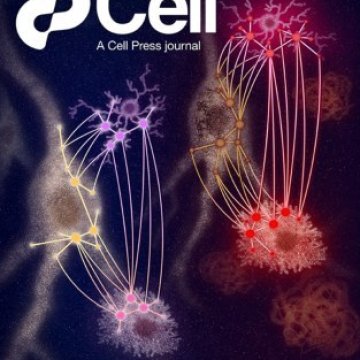 Cell Press_2025.10.30 电子版PDF