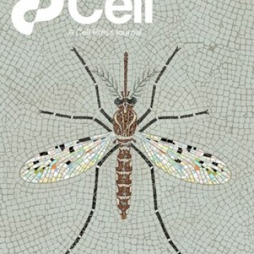 Cell Press_2025.12.11 电子版PDF