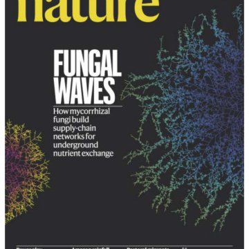 Nature magazine-2025.03.06-双语版 电子版PDF