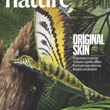 Nature magazine-2025.07.31-双语版 电子版PDF