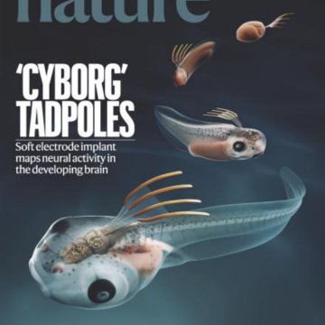 Nature magazine-2025.06.26-双语版 电子版PDF