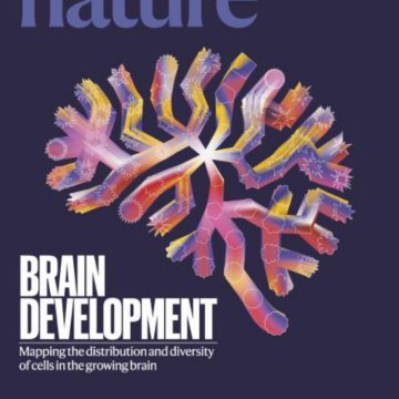 Nature magazine-2025.11.06-双语版 电子版PDF
